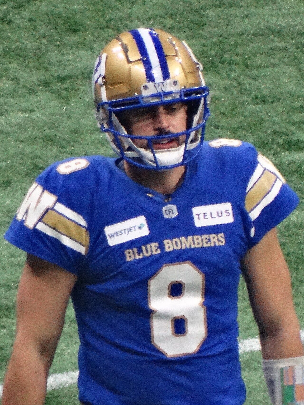 Collaros leads Blue Bombers past Stampeders to keep playoff hopes alive
