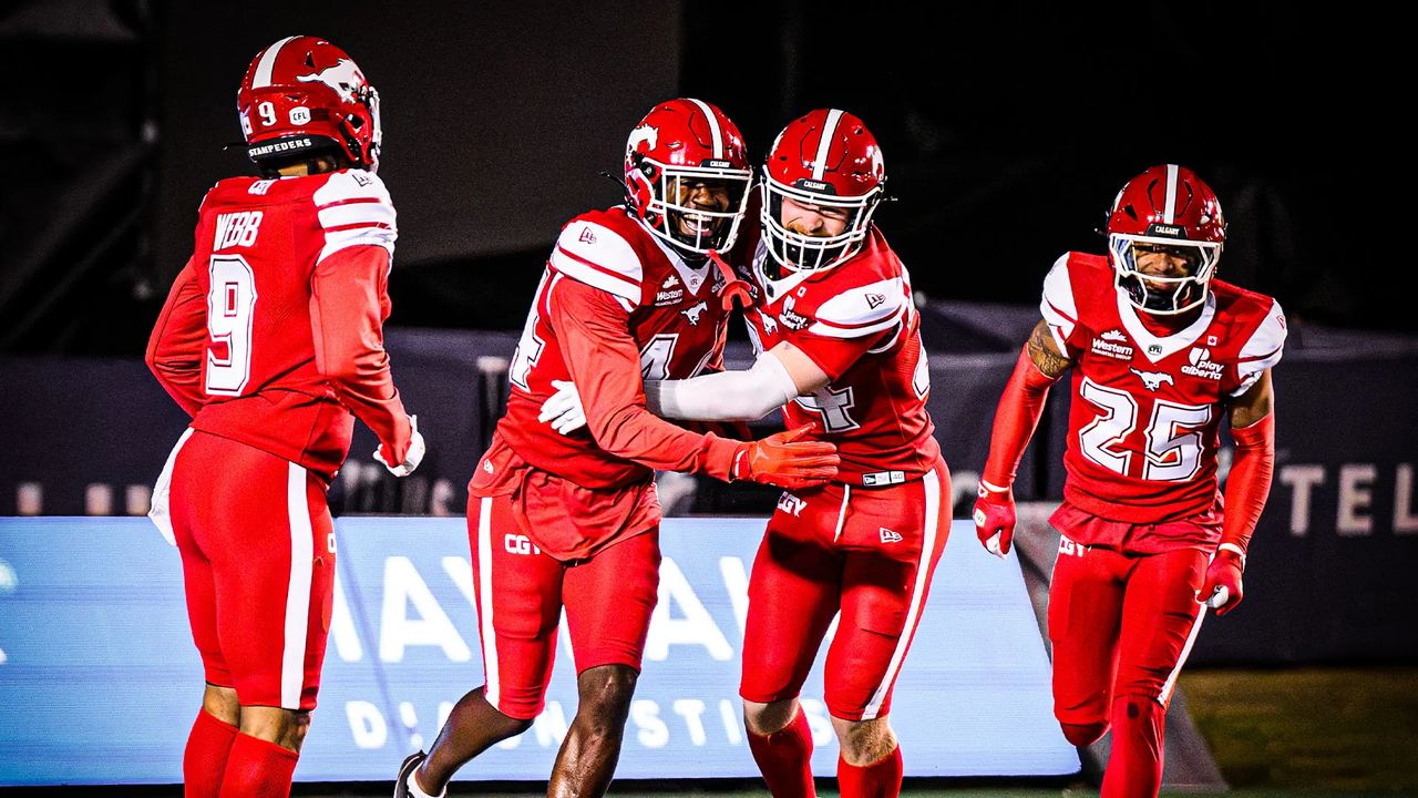 Stampeders beat Lions to stay alive, await playoff fate