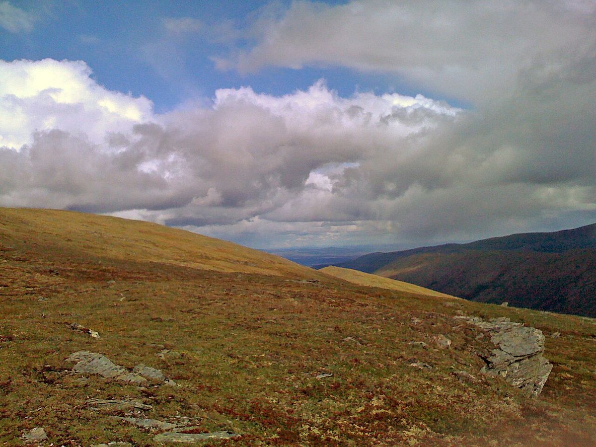Eagle Summit, Alaska, in August 2008, looking north toward Central, Alaska.