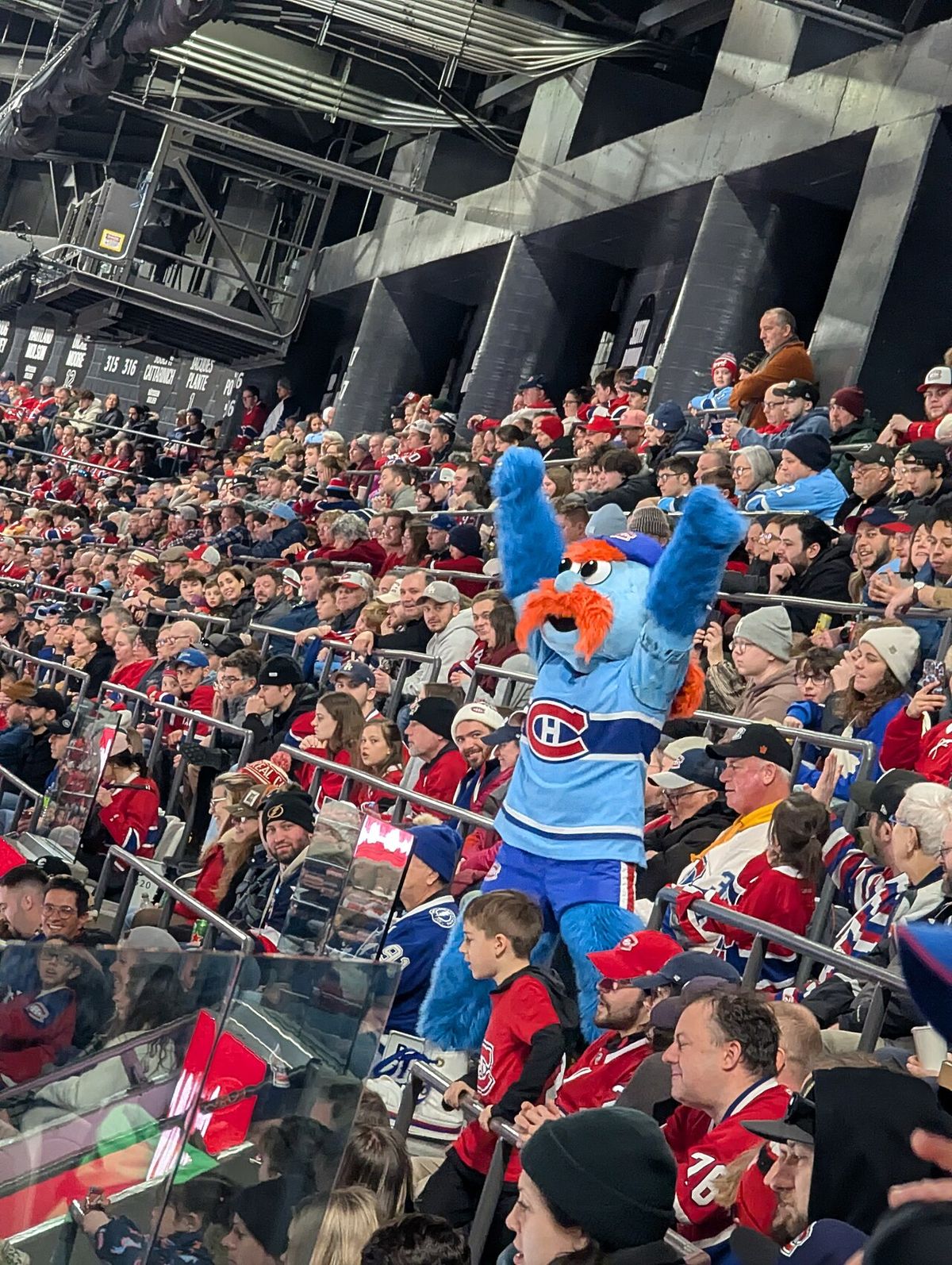 Montreal Canadiens Mascot Metal in the stands at a game.