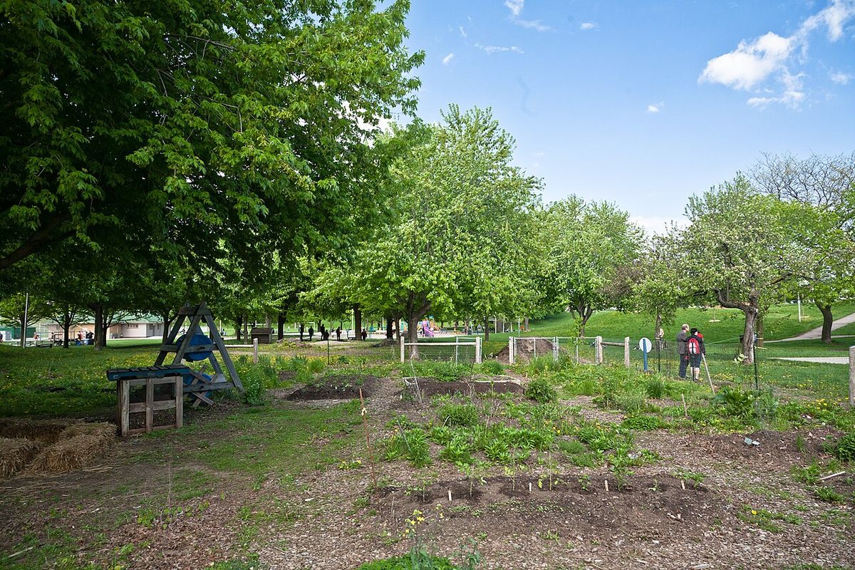 The community garden in Christie Pits, Toronto