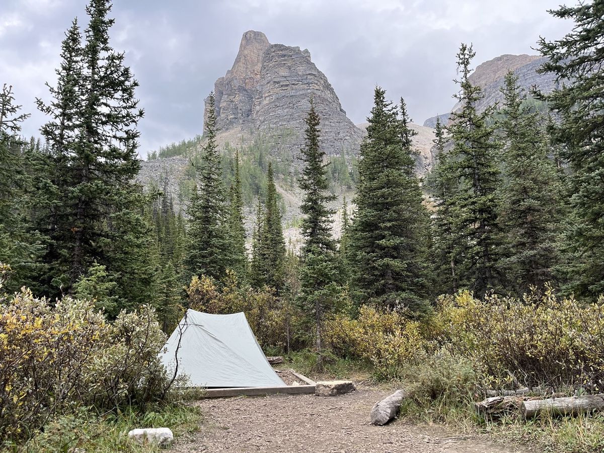 A backpacking tent at a campsite below Ball Mountain
