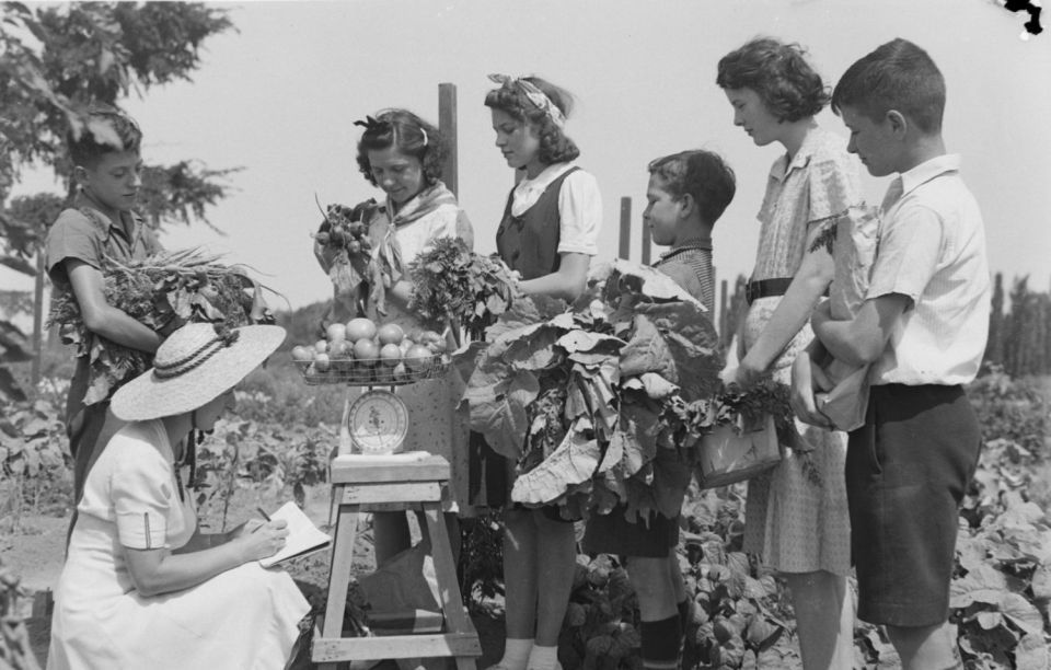 Gardeners apprentices Montreal Botanical Garden pose the fruit of their crops on a scale. Miss Marcoux notes the results in a notebook.