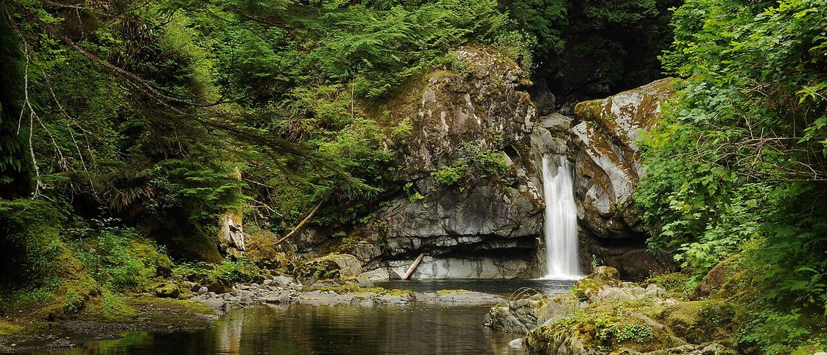 A small waterfall on the Darling River, near the coast. Just off of the West Coast Trail, British Columbia, Canada.