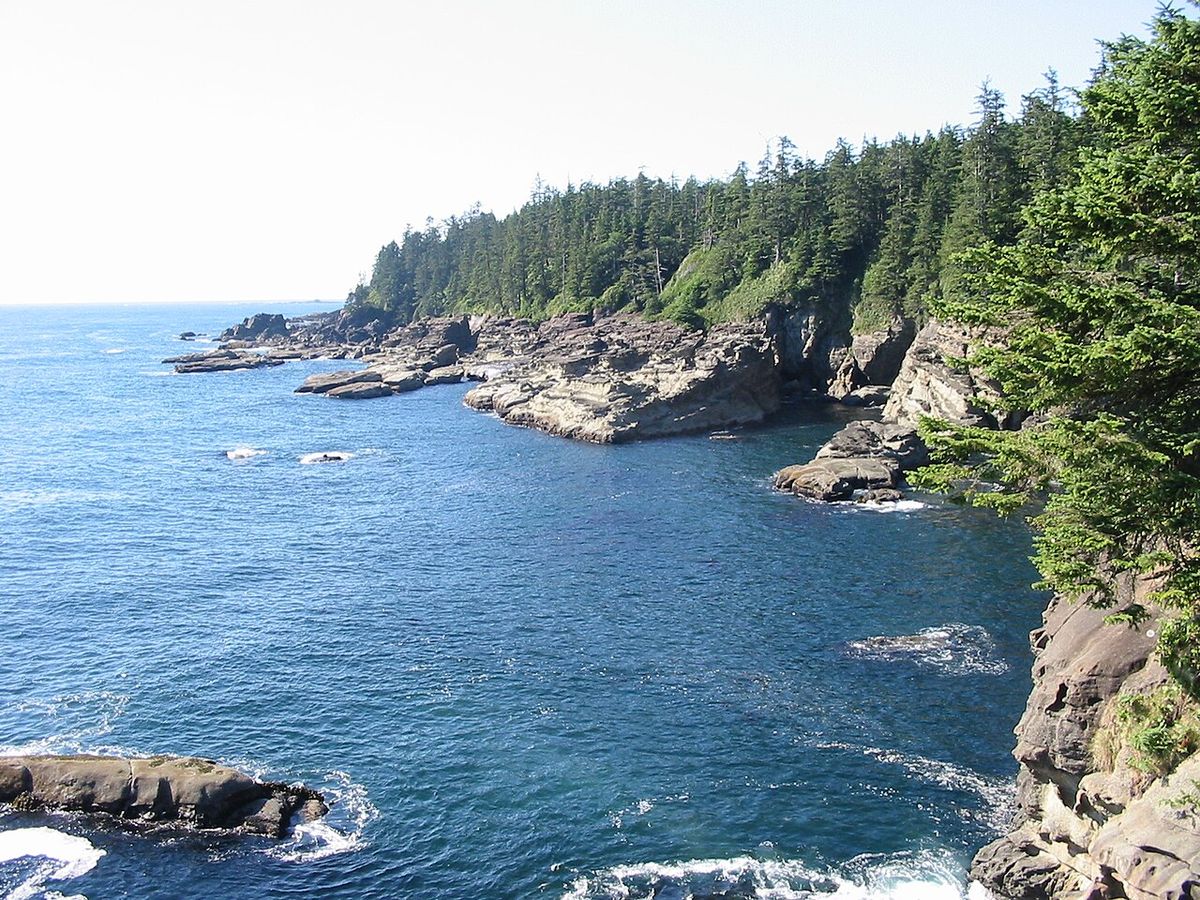 Another picture I took of the West Coast Trail.